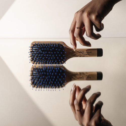 SISLEY La Brosse de Poche Brillance & Douceur 3473311690401 SISLEY La Brosse de Poche Brillance & Douceur 3473311690401